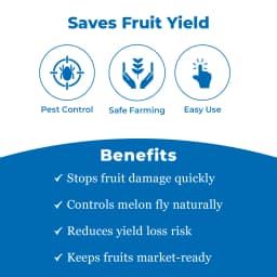 Maxplus Trap With Melon Fly Lure, For Controlling Bactrocera Cucurbitae, For Water Melon, Musk Melon, Cucumber, Bottle Gourd, Pumpkin, all Vegetables 3