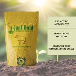 Biowall r-Jaal Gold VAM (Vesicular Arbuscular Mycorrhiza) Root Development and Nutrient 3