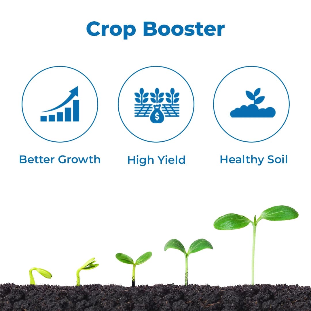 Dhanzyme Gold Liquid - Sea Weed Extract - Image 3