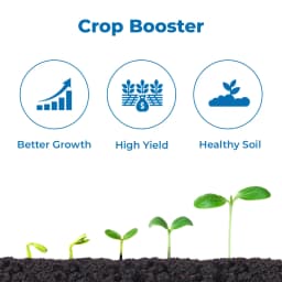 Dhanzyme Gold Liquid - Sea Weed Extract 3