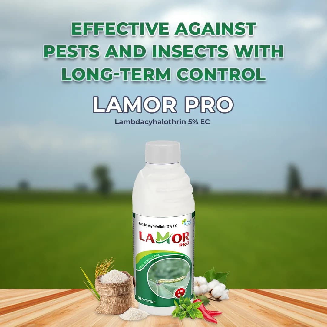 NCS Lamor Pro Insecticide - Lambda Cyhalothrin 5% EC - Image 2