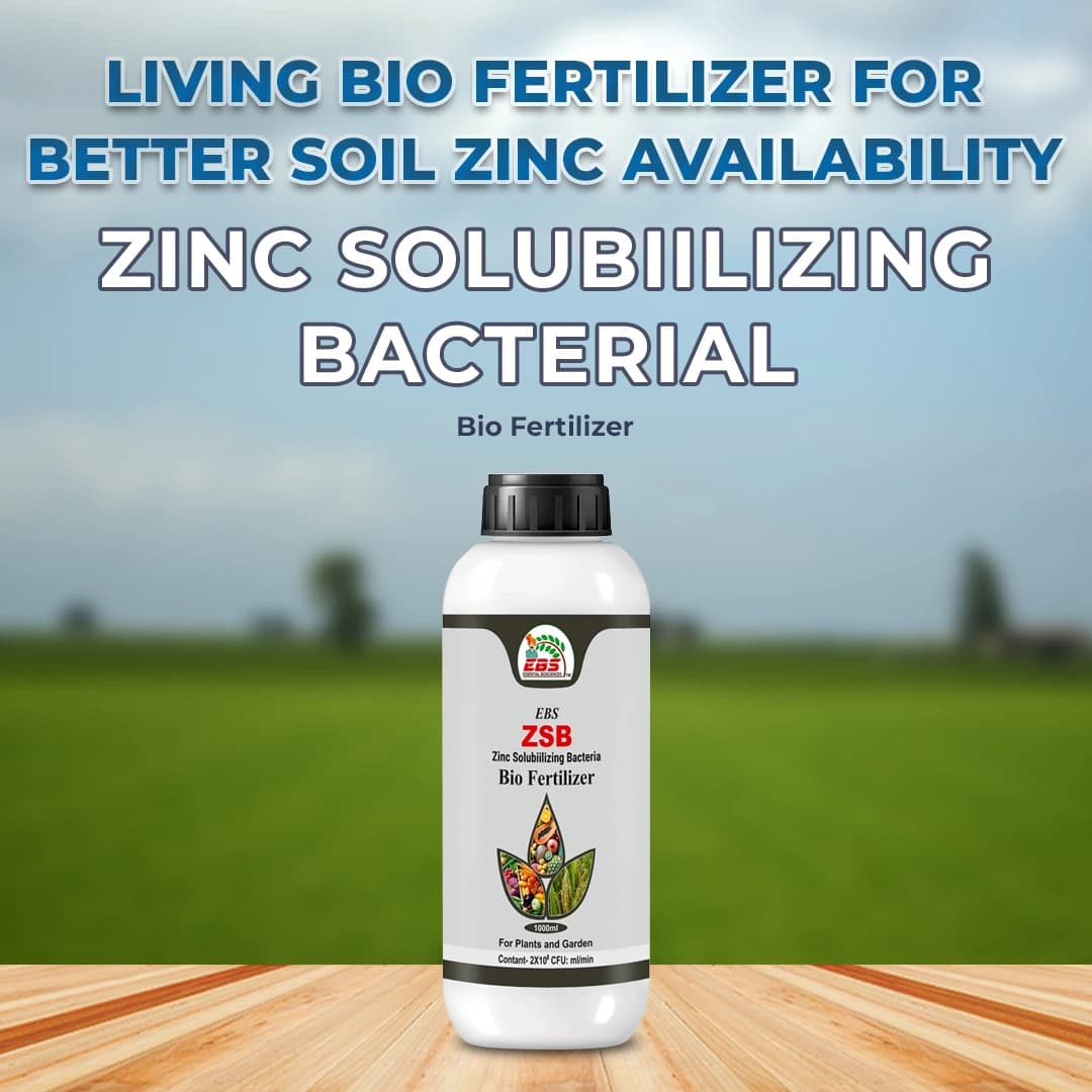 EBS Zinc Solubiilizing Bacterial Bio fertilizer (ZSB), For All Plants And Home Garden, Ecofriendly - Image 3