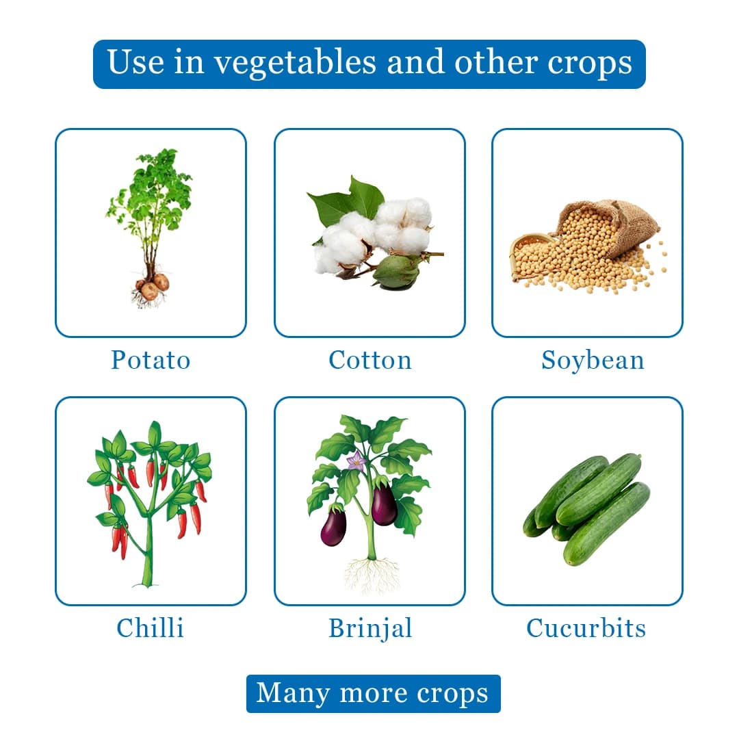 Empala Insecticide - Emamectin Benzoate 1.5% + Fipronil 3.5% SC - Image 4
