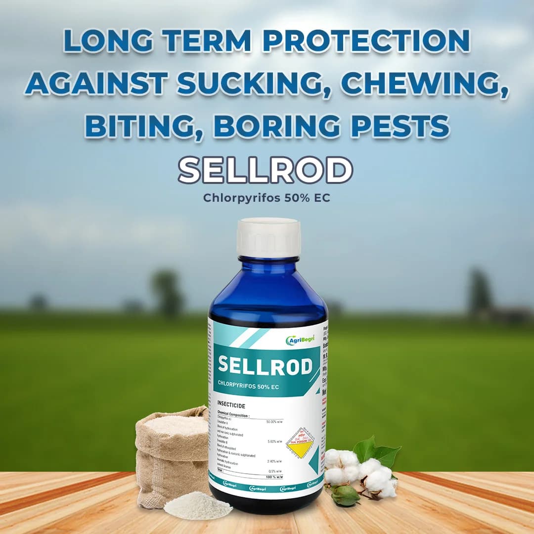 Sellrod - Chlorpyrifos 50% EC, Control Insects Such As Wireworm, Beetles, and Aphids - Image 2