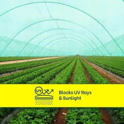 Mipatex Garden Shade Net 90% UV Stabilized Sun Protected Green House, Protect Flowers and Plants Green, Multi-Purpose Long Lasting Material 9