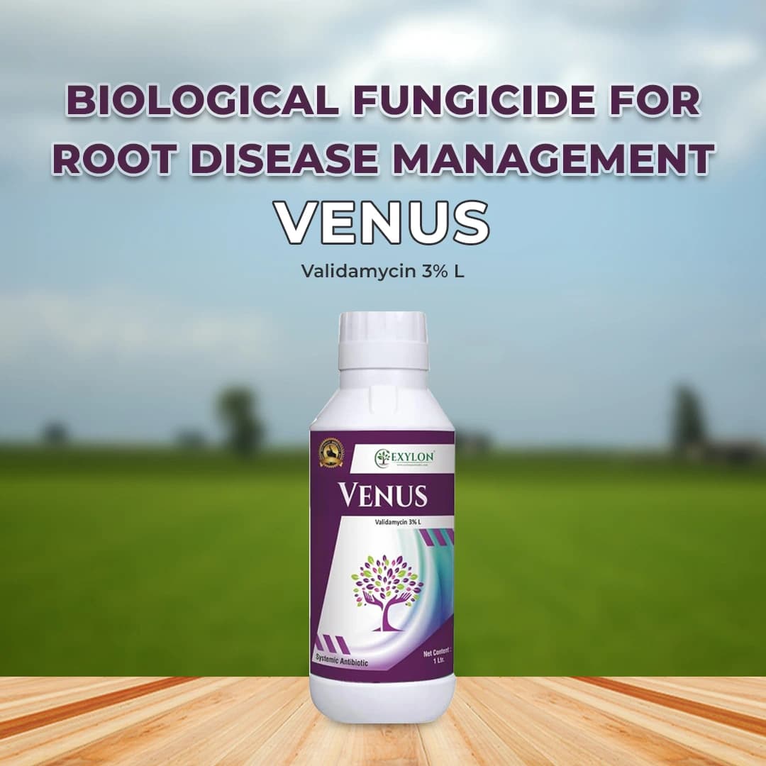 Exylon Venus Validamycin 3% L Fungicide, Broad-Spectrum, Fungal And Bacterial Diseases Controls In Crops - Image 2