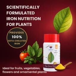 Utkarsh FeGro (Iron- Fe-12% EDTA Chelated) (100% Water Soluble Foliar Spray), Stimulates and Regulates Enzyme Reactions for the Growth 2