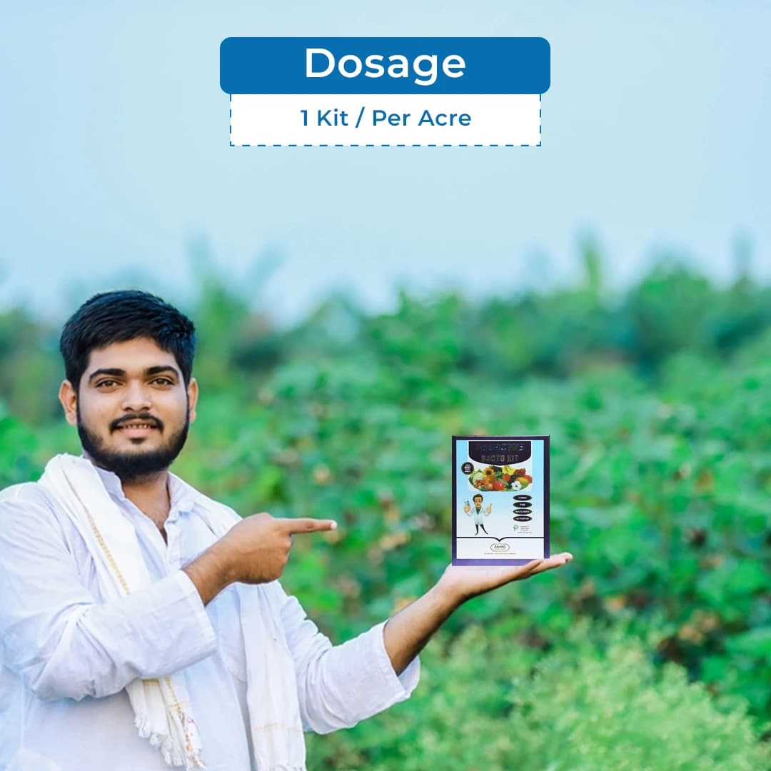 Dr. Bacto\'s Bacto Kit, Bio Fertilizer kit Contains NPK Consortia, PSB, Bactorhiza And Activator-Food Kit (Each 200 Grams) - Image 5