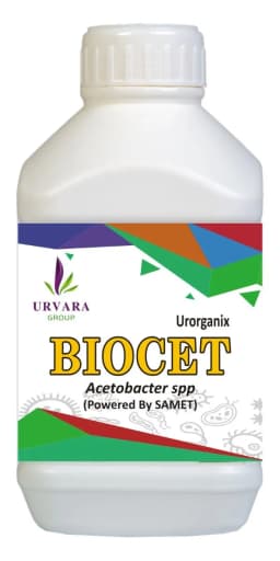 Biocet - Acetobacter Spp For Nitrogen Fixing Especially Useful In Sugarcane Plantations for Excellent Growth Stimulation and Soil Health 2
