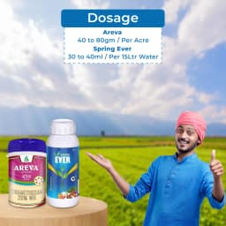 AgriBegri Super Combo (Areva 250 Gm + Spring Ever 1 Ltr) Plant Growth And Pest Control For Healthy Crops 5