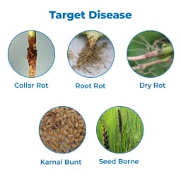 Dr. Bacto\'s Dermus (Trichoderma Viride) Use Soil Application, Seed treatment, and Foliar Spray 3