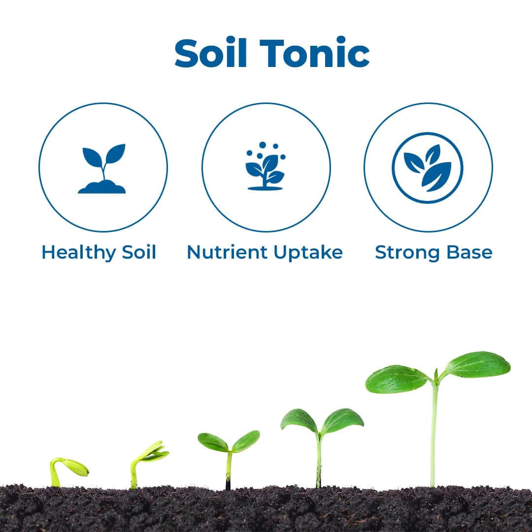 EBS Fulvic Acid Fulvic Acid 50% Organic Fertilizer, Improve Plant Root System, Increase Plant immunity and Growth Booster - Image 4
