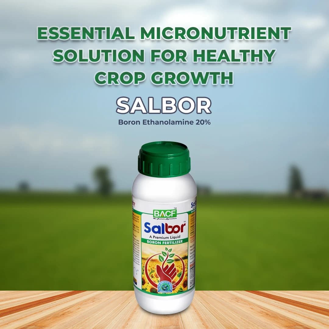BACF Salbor - Boron Ethanolamine - Image 2