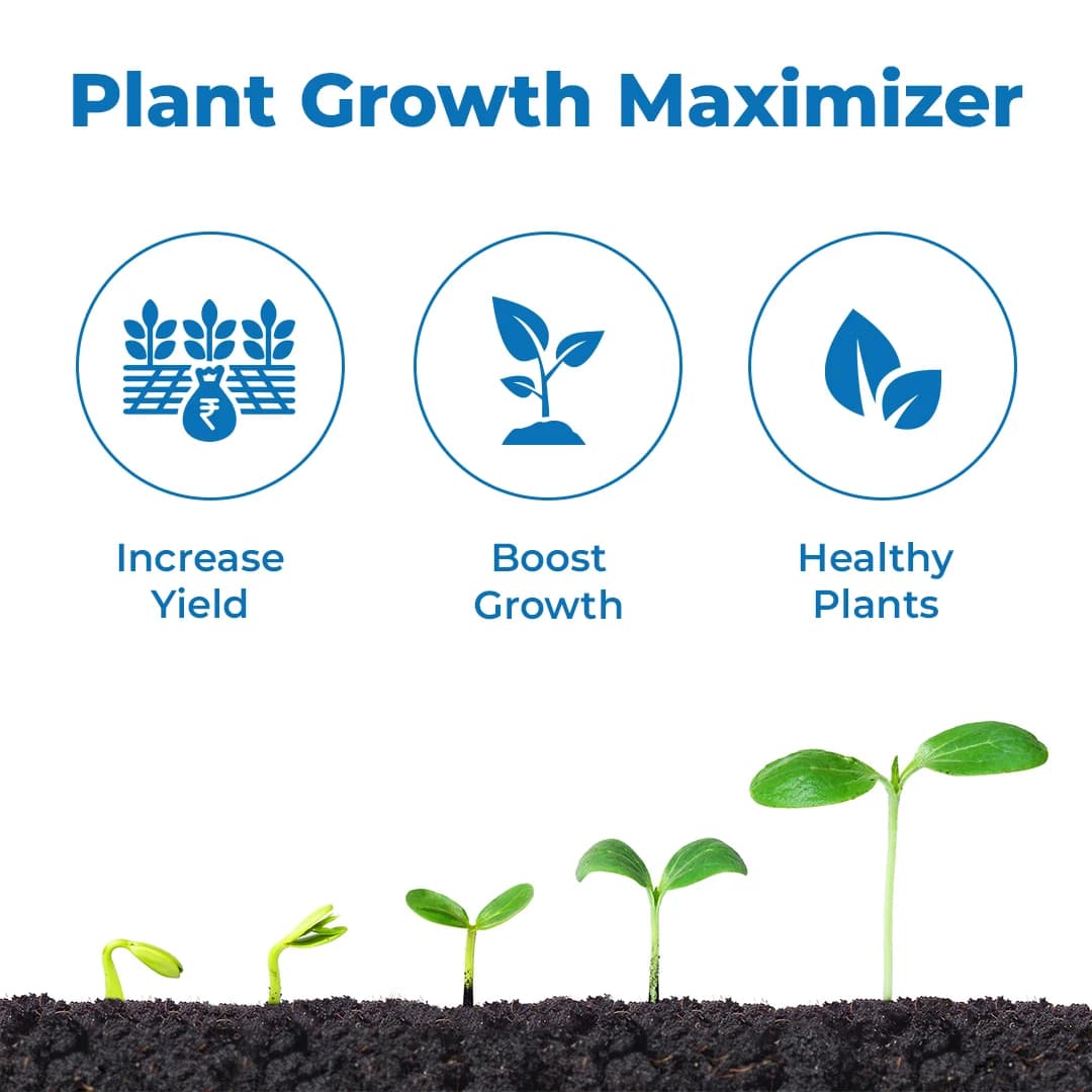 Agriventure Kasher Paclobutrazol 23% SC Plant Growth Regulator, Best For Mango - Image 3