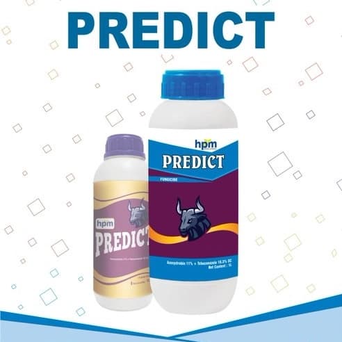 Hpm Predict Azoxystrobin 11% + Tebuconazole 18.3% SC Fungicide, Dual Action Crop Protection - Image 2