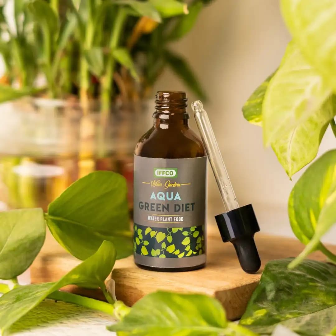 IFFCO Urban Garden Aqua Green Diet Liquid Fertilizer, For Water Plant Food, Boost Growth For Lucky Bamboo, Money Plant, Pothos, And More - Image 3