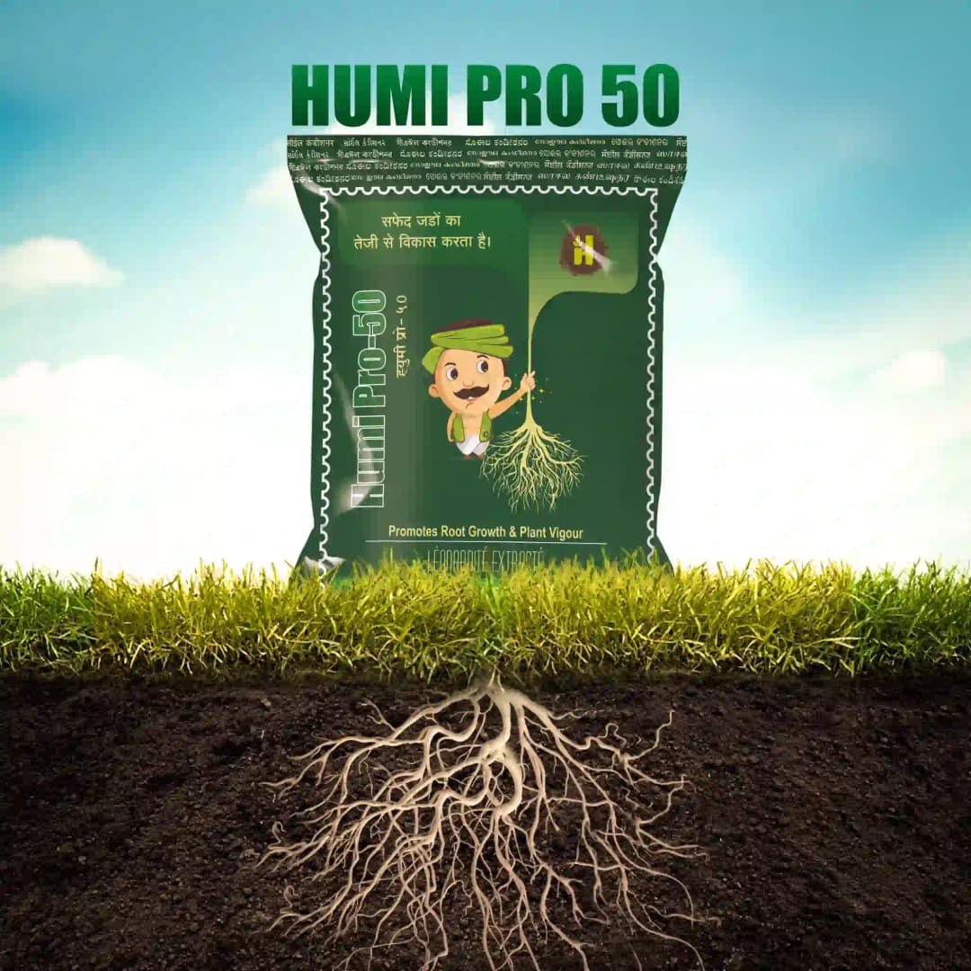 Hifield Organics Humi Pro 50 Granules, Promotes Root Growth and Plant Vigour. - Image 3