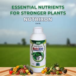 BACF Nutrixon Cal SL - Calcium, Boron, Amino acids. Prevents Fruit and Flower Dropping, Reduces Biotic And Abiotic Stress, Increases Fruit Size 2