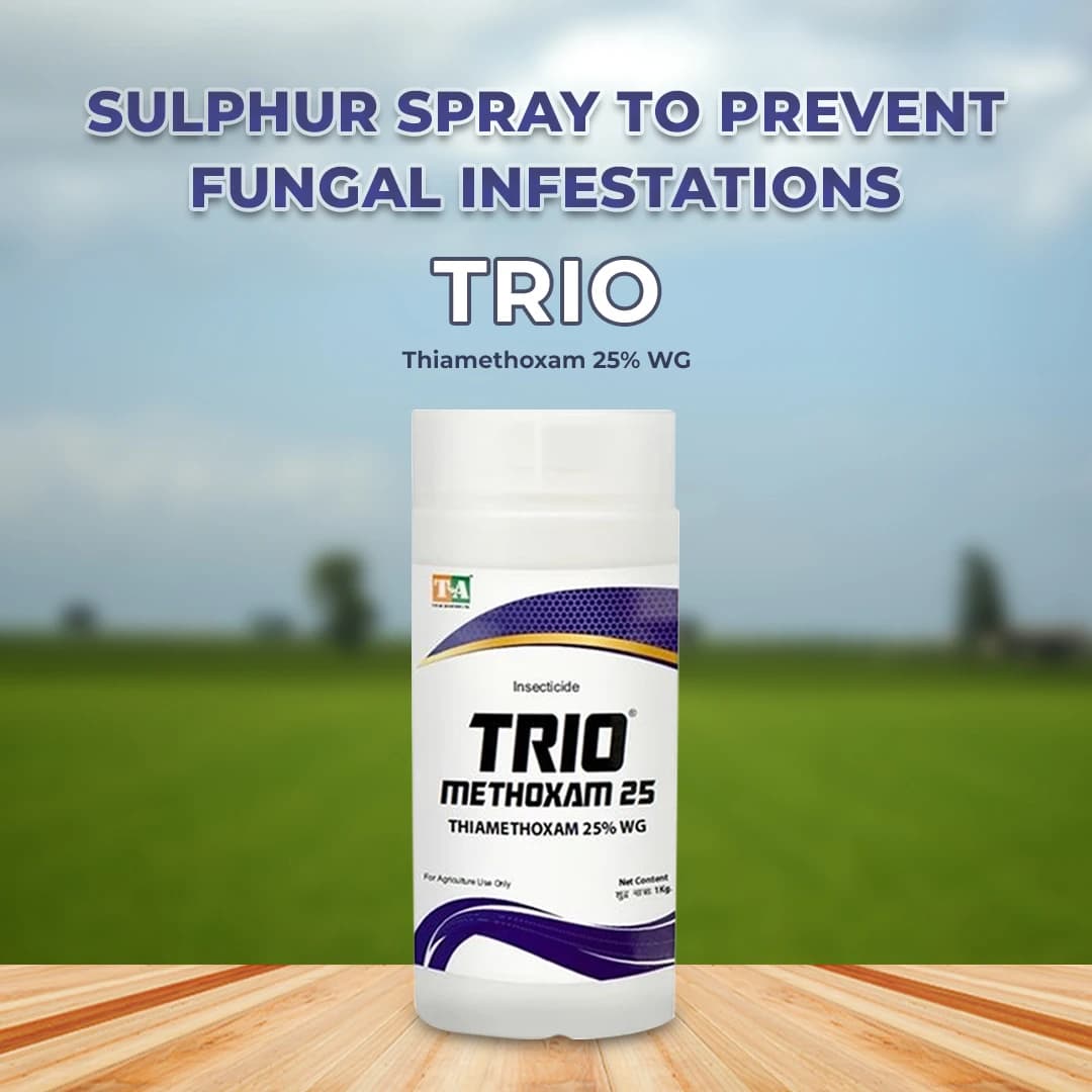 TrioMethoxam 25 Insecticide - Image 2