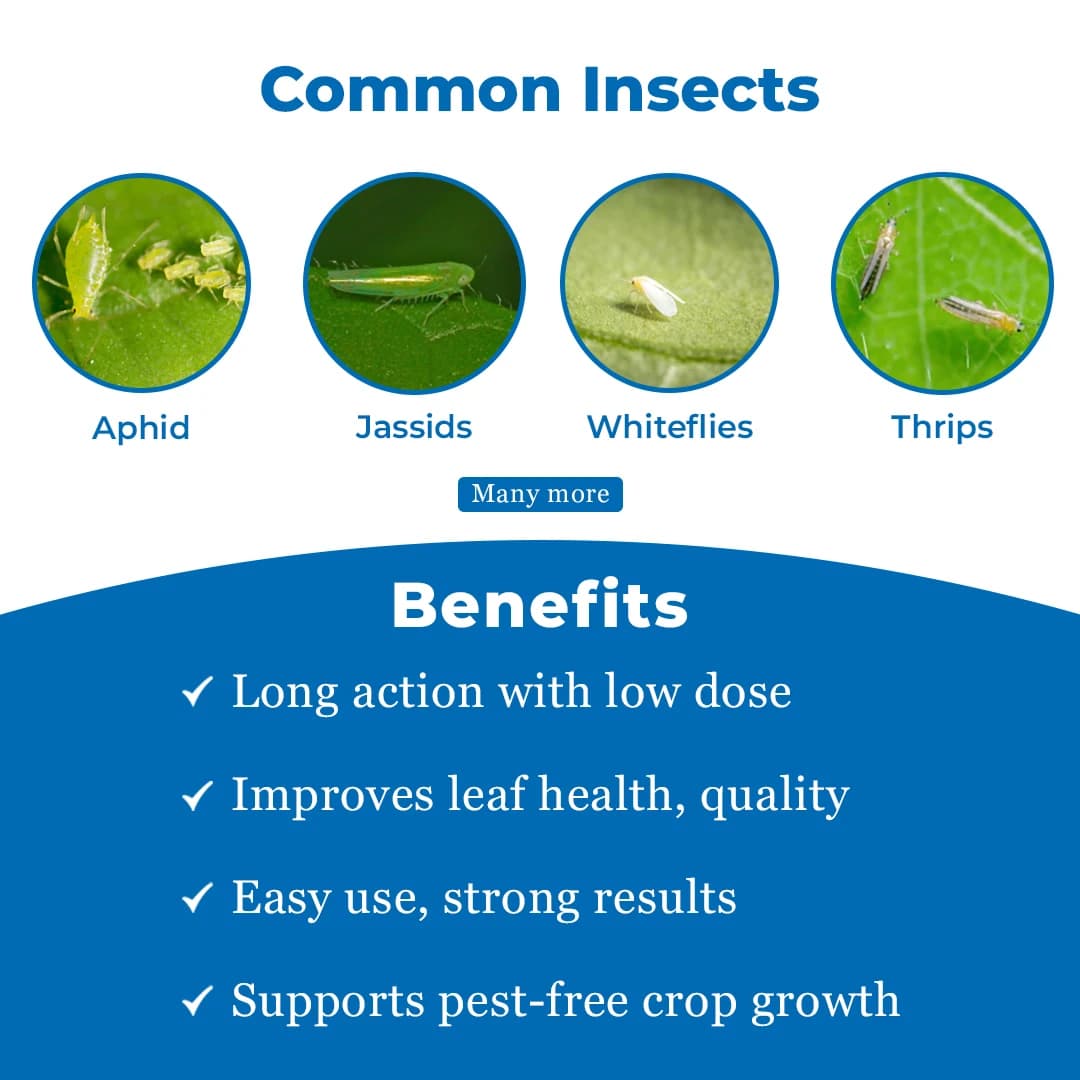 BACF BOXAM - Thiamethoxam 25% WG Insecticide, Systemic And Contact Insecticide - Image 3