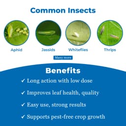 BACF BOXAM - Thiamethoxam 25% WG Insecticide, Systemic And Contact Insecticide 3