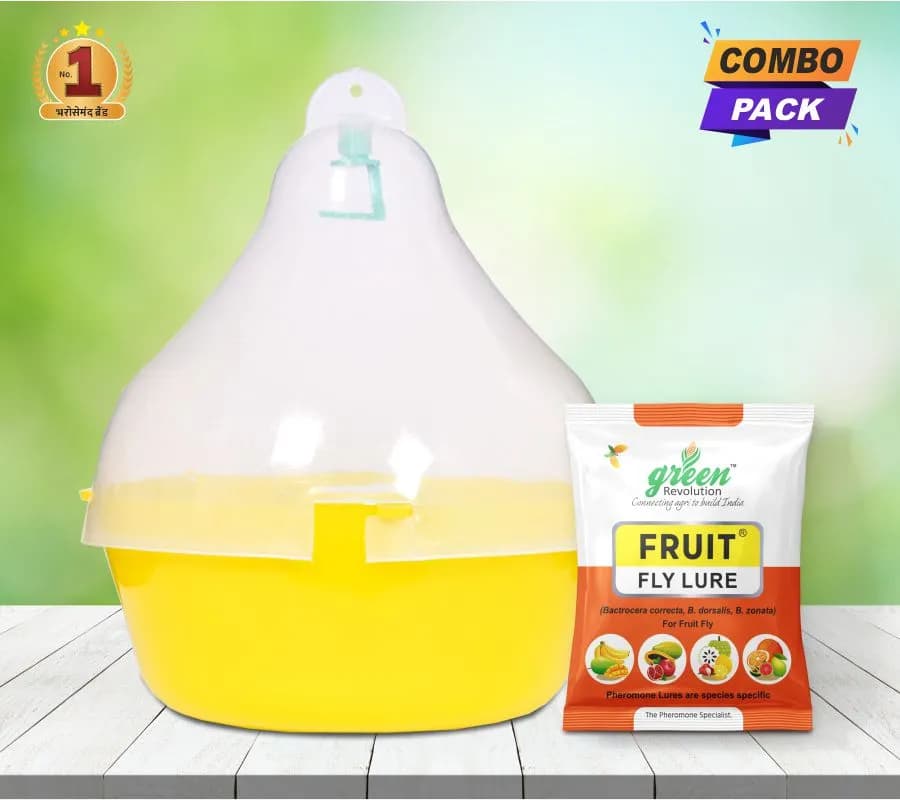 Maxplus Trap with Fruit Fly Lure (Bactrocera Correcta, Zonata, Dorsalisa Pheromone Lure) For Mango, Guava, Sapota, Citrus, Banana, and Papaya - Image 9