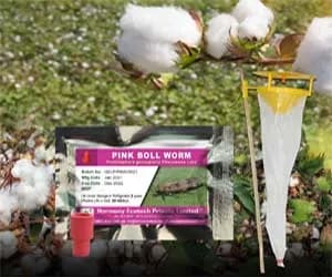 ACTIVE IPM Funnel Trap + Pink Bollworm Pheromone Lure, Pest Control Tool for Pectinophera gossypiella - Image 1