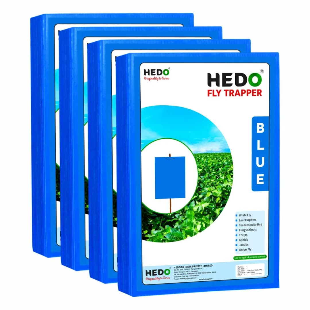HEDO Eco A4 Size Blue Sticky Trap For Thrips, Aphids, Jassids & All Harmful Flying Insects, Best For Organic Vegetable And Fruits Farming Pest Control - Image 4