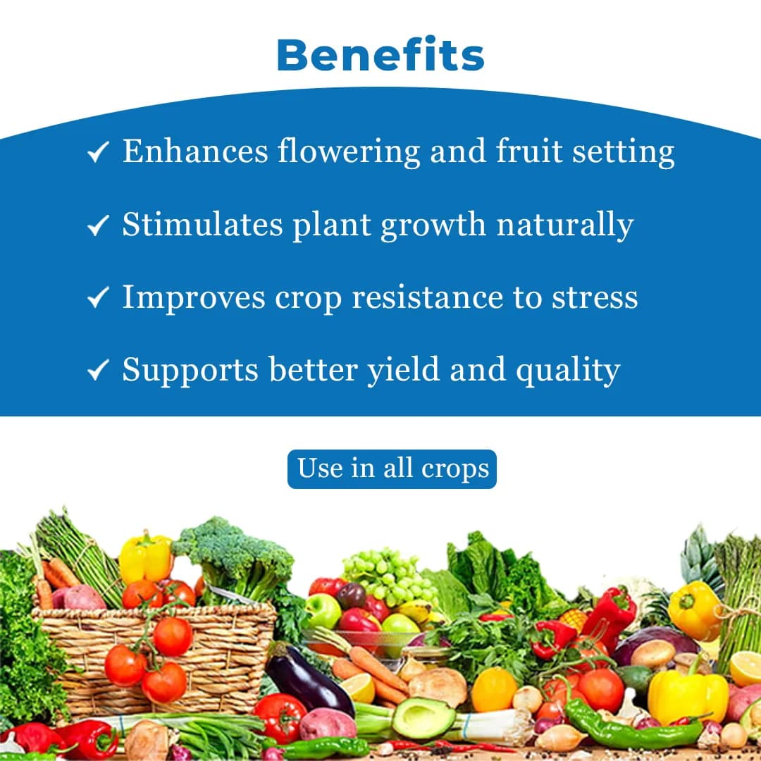 Bhumi Mr. Nano (Jasmonic Acid 1%) Nano Technology Based Flower Booster, Increases The Number Of Flowers In Crops & Also Reduces Flower Fall - Image 4