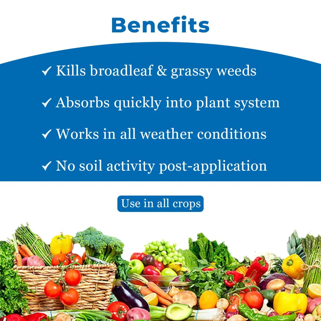 GSP RunOut-71 Ammonium Salt Of Glyphosate 71% SG Herbicide, Non-Selective, Effective Control Weed In Crops - Image 4