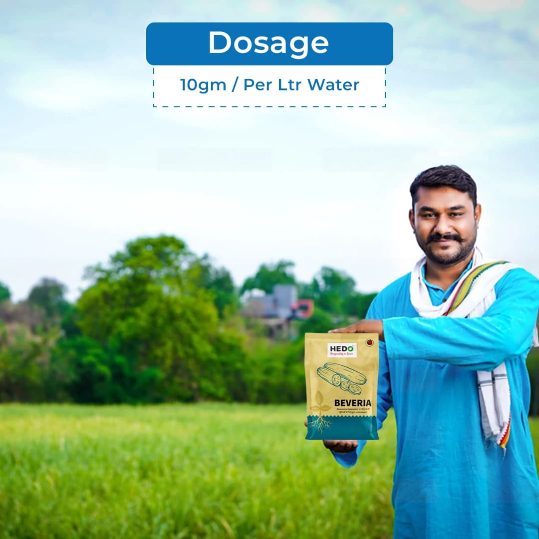 HEDO Beveria (Beauveria Bassiana 1.15% WP) Powder Bio Pesticide For Vegetables, Fruits & All Crops, Broad Spectrum Control - Image 5