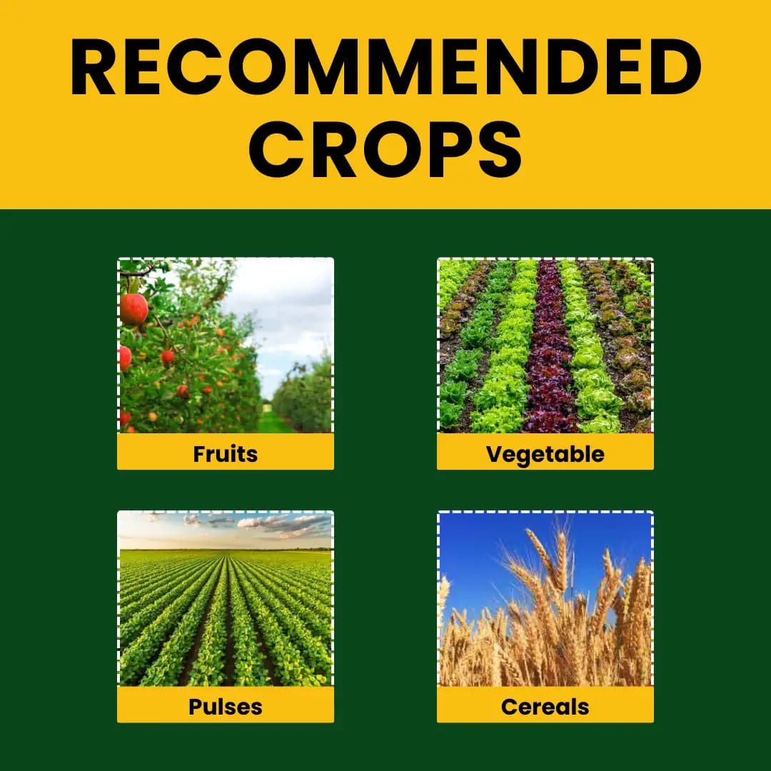 Premium Seaweed Extract Liquid for Plants Vegetables Flowers Fruits Promotes Plant Growth, Flowering, Fruiting - Keeps Plant Healthy and Greenish - Image 8