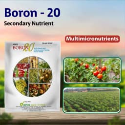 Aries Boron 20 Micronutrient Fertilizer, Boost Plant Growth Naturally, Suitable For All Crops 2