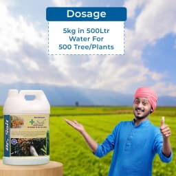 Dr. Soil Areca Intendend Use for Areca (Liquid Consortia) (ISO Certified) Areca special Liquid Fertilizer 5