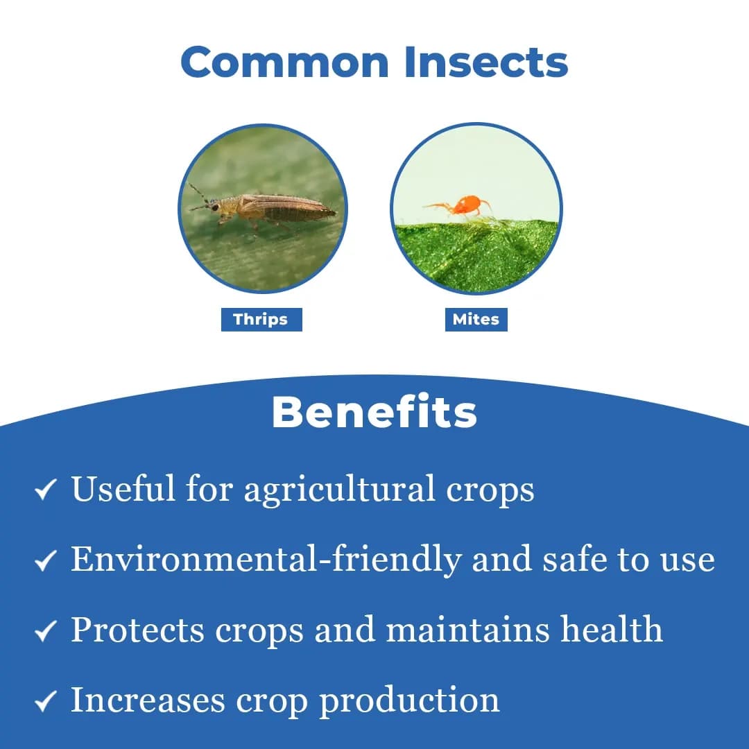 Beta - Bio and Eco-Friendly Remedy for Thrips and Mites, Useful for All Agricultural Crops - Image 3