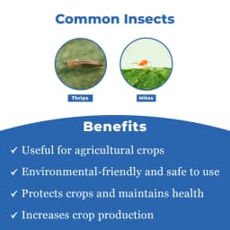 Beta - Bio and Eco-Friendly Remedy for Thrips and Mites, Useful for All Agricultural Crops 3