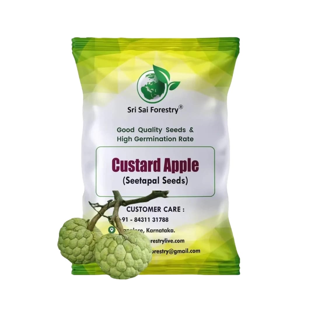 SRI SAI FORESTRY Custard Apple Seeds, Sitafal Ke Beej, Sugar Apple Seeds, Sweetsop Seeds, Annona squamosa Fruit Tree Seeds - Image 1