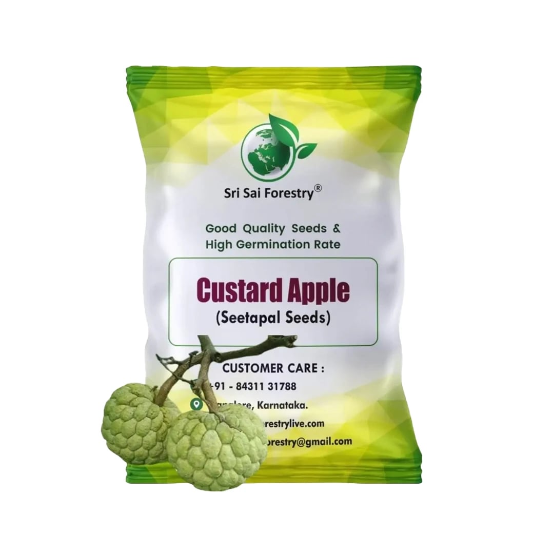 SRI SAI FORESTRY Custard Apple Seeds, Sitafal Ke Beej, Sugar Apple Seeds, Sweetsop Seeds, Annona squamosa Fruit Tree Seeds