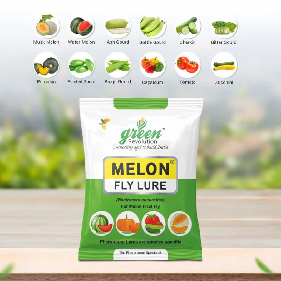 Green Revolution Yellow IPM Trap With Melon Fly Lure, Effective For Fly Control In Vegetable - Image 5