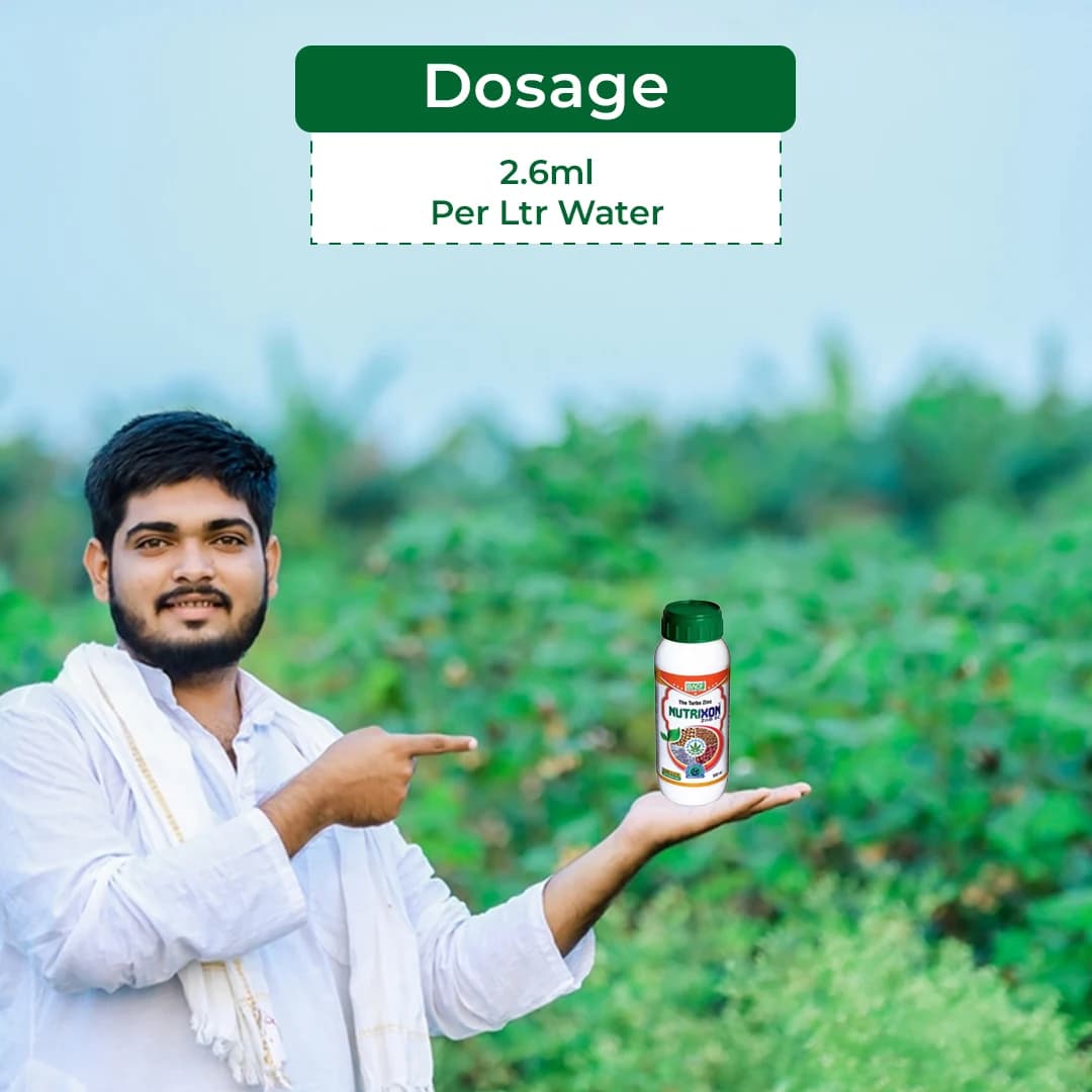 Bacf Nutrixon ZnB SC - Zinc Oxide 39.5% SC - Image 5