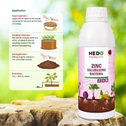 HEDO Zinc Solubilizing Bacteria (ZSB) Liquid Bio Fertilizer, For All Plants, Agricultural & Garden, Helps to Improves Soil Fertility 4