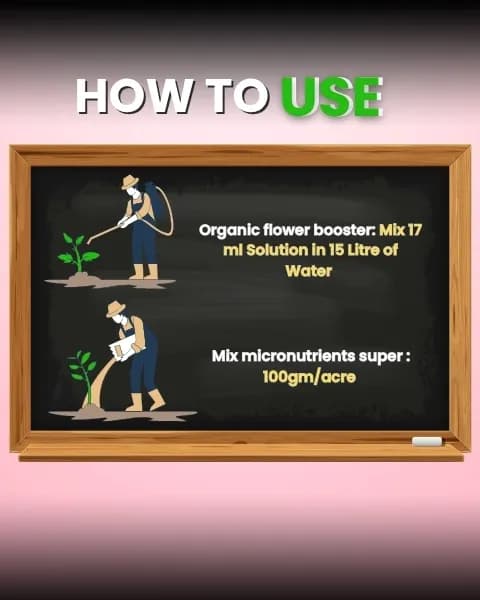 Katyayani Flowering Fertilizer Booster + Mix Micro - Image 7