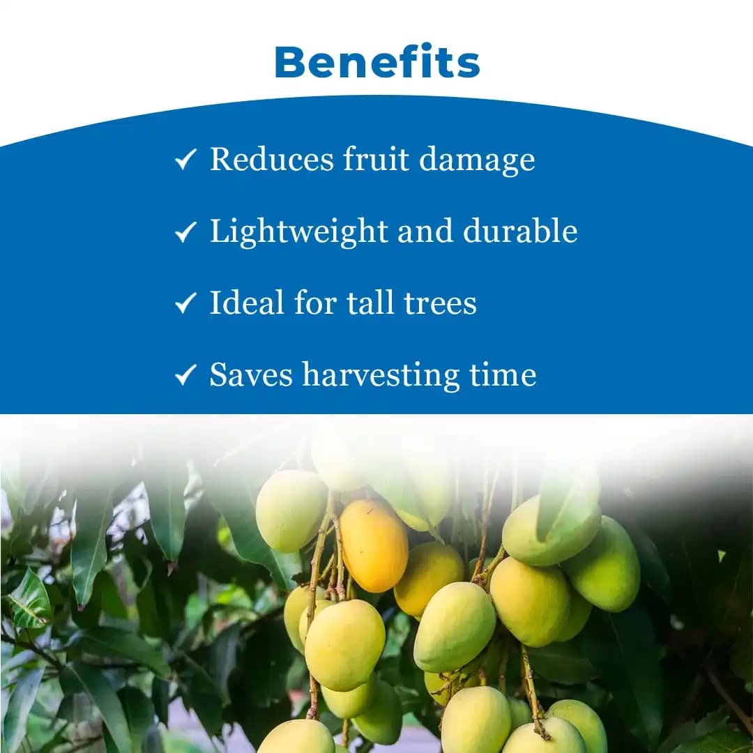 Hectare Lightweight Mango Fruit Picker - Harvester (Without Pole) - Image 4