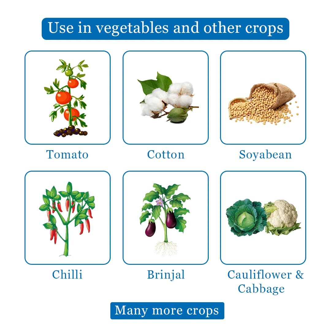 Remidok Insecticide - Fipronil 18.87% SC - Image 4