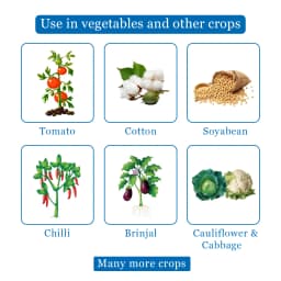 Remidok Insecticide - Fipronil 18.87% SC 4