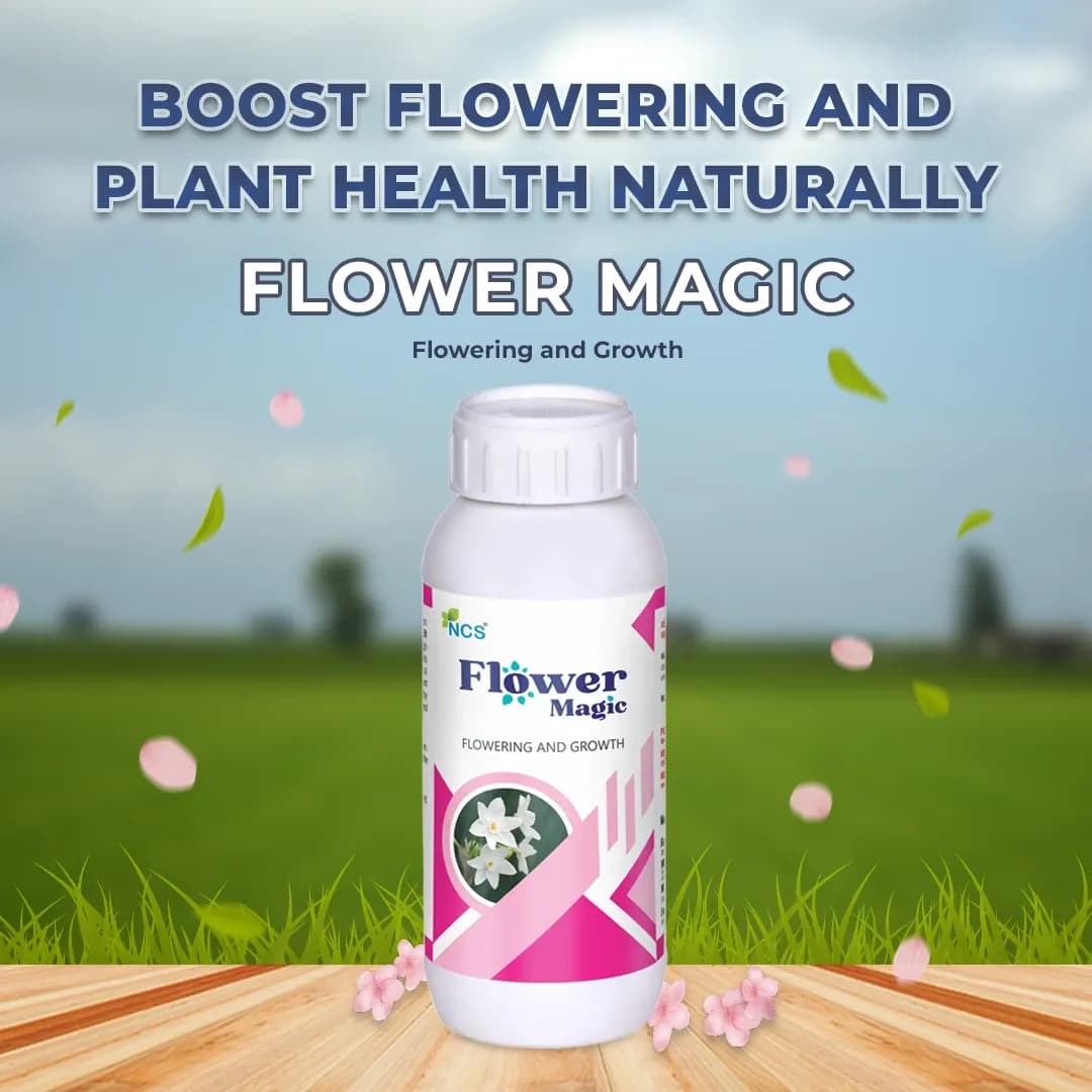 FLOWER MAGIC - Effective Flowering Stimulant and Enhancer, Combination Of N.B, Emulsifier, and Fulvic Acid - Image 2