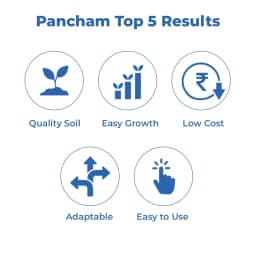 Dr. Bacto\'s Pancham Gold Granules, Formulation of Arbuscular Mycorrhiza, Increase the Plant Growth and Yield and Enrich the Soil Condition 3