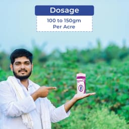 Adama Suckgan - Thiamethoxam 25% WG, Highly Effective And Systemic, Belongs to Neonicotinoid Group. 5