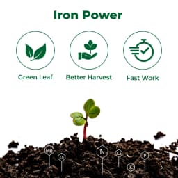 Instacheal Fe 12%, EDTA Chelated Ferrous 12%, EDTA Chelated Iron, Plant Nutrition, Micronutrient Ferrous 3