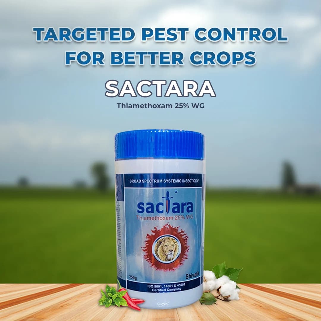 Shivalik Sactara - Thiamethoxam 25% WG Insecticide, Best Use Against Brown Plant Hopper, Green Leaf hopper etc - Image 2